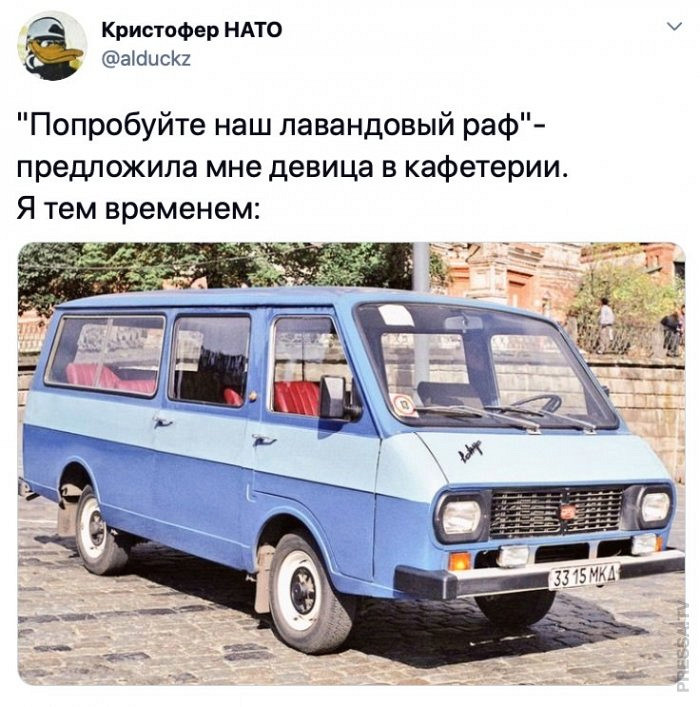 Лавандовый раф картинки