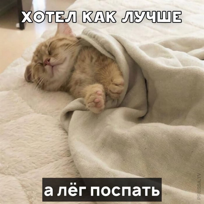 Отличные краткие шуточки