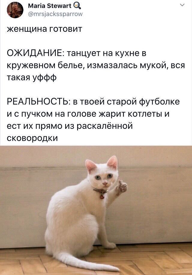 Комизм из соцсетей