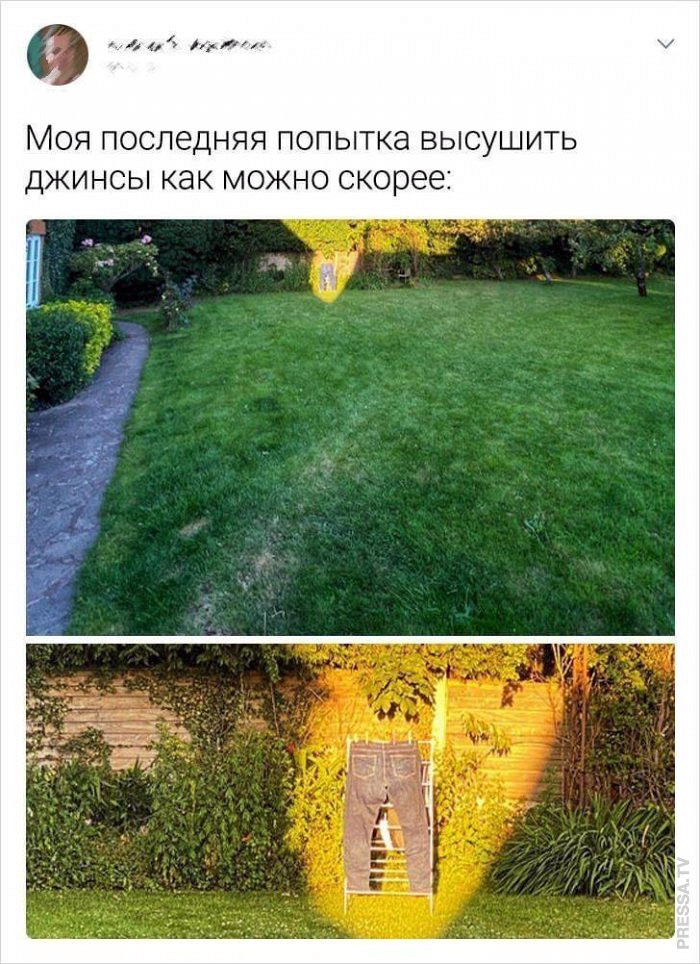 Наиболее курьезные фотки и шутки