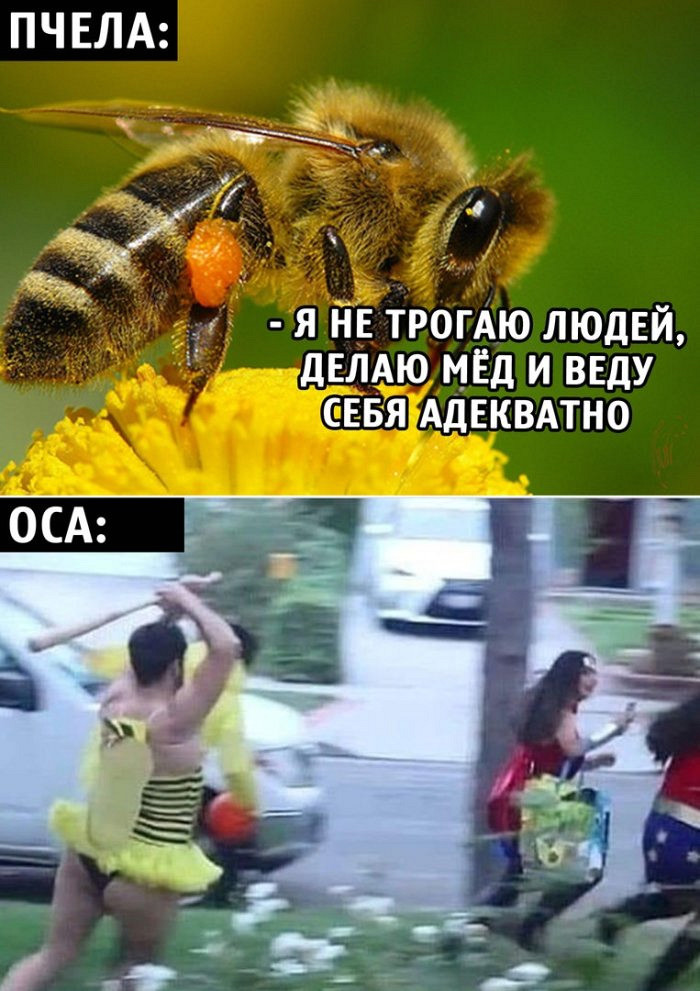 Самые уморительные шутки