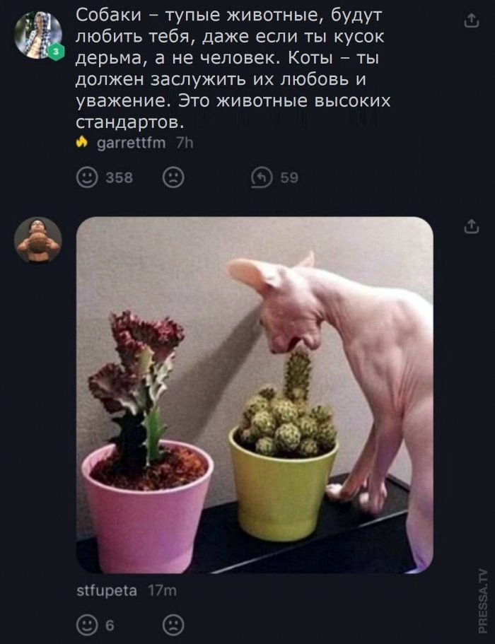 Исключительно уморительные изображения этого дня