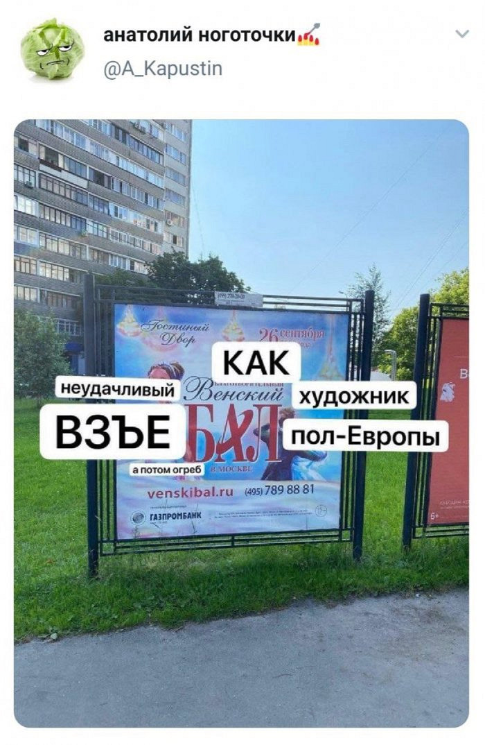 Особо курьезные мемы этого дня