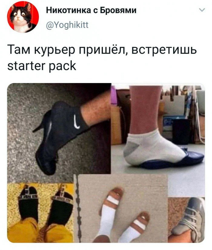 Весёлые кадры для расположения духа