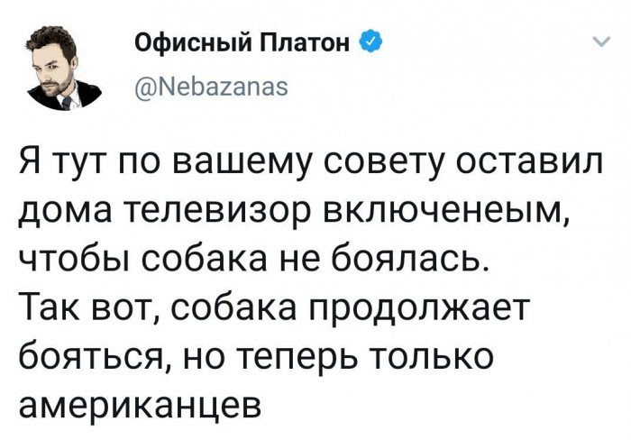 Развеселые шутки с надписями