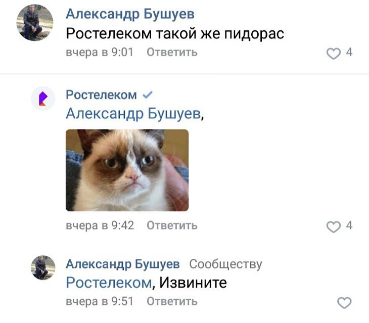 Весёлые кадры для расположения духа