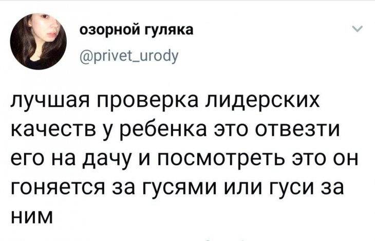 Чрезвычайно забавные фотографии дня