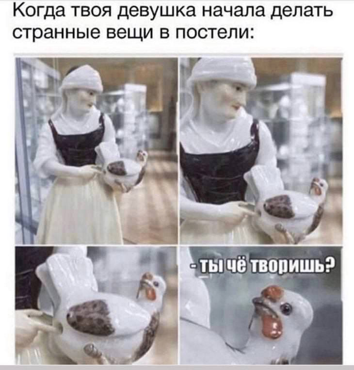 Весёлые фотки для поднятия настроя