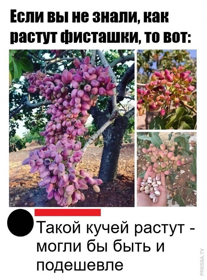 Увлекательные картинки для расположения духа