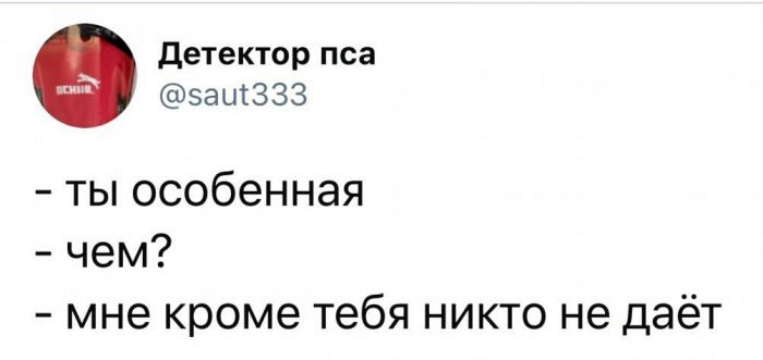 Весёлые фотографии для настроения