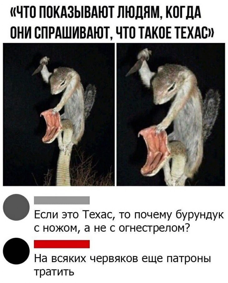 Очень смешные шутки