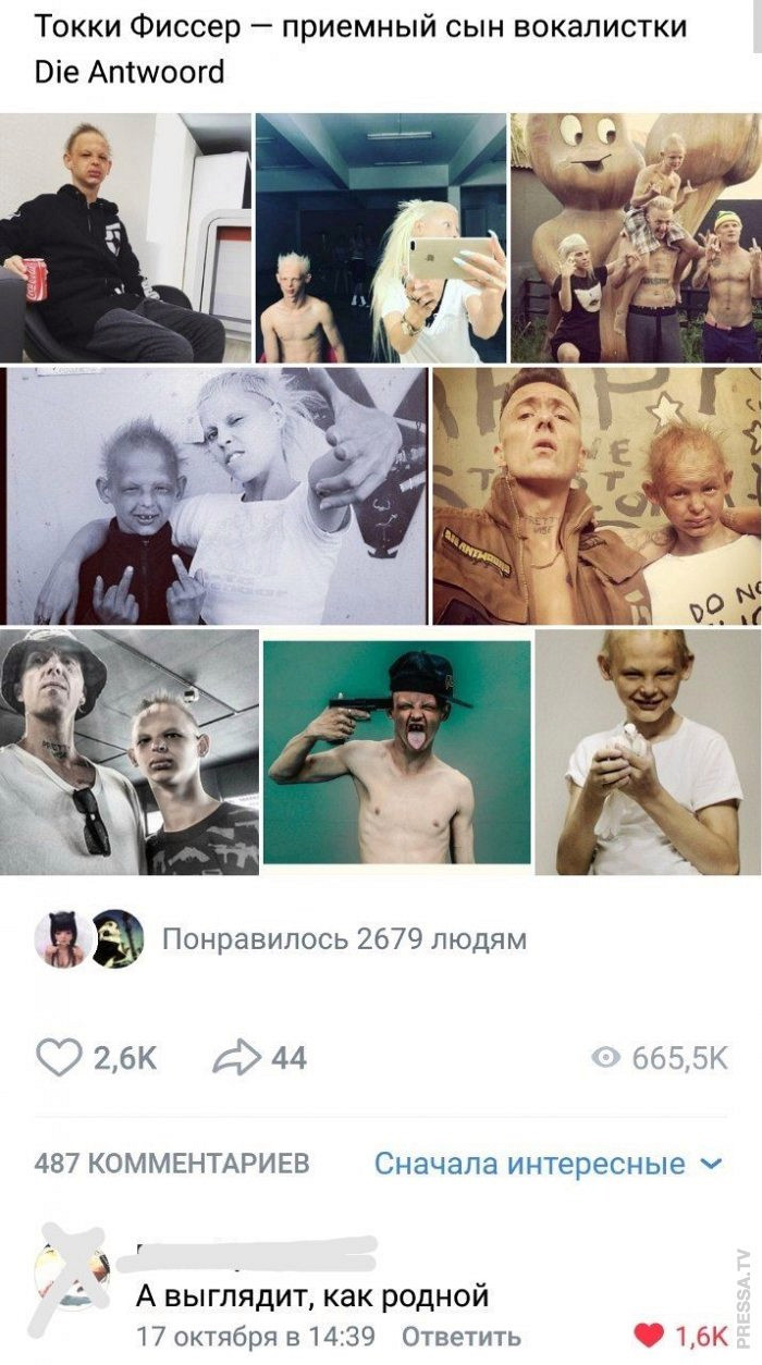 Весёлые фотоснимки для поднятия расположения духа