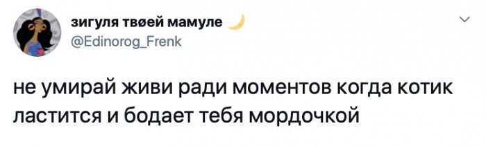 Развеселые приколы с девизами