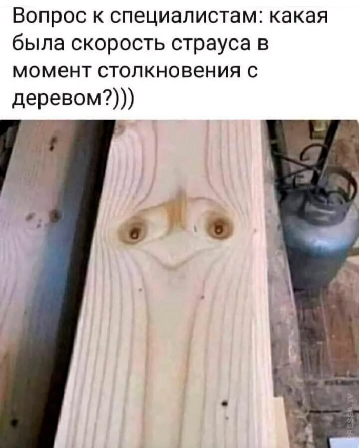 Очень смешные шутки