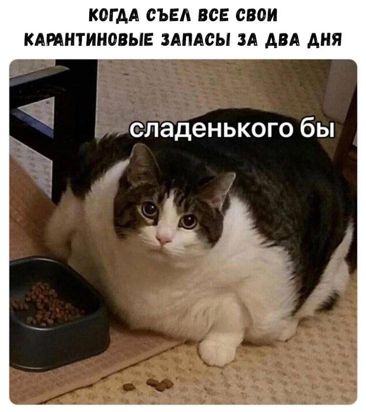 Наилучшие короткие приколы