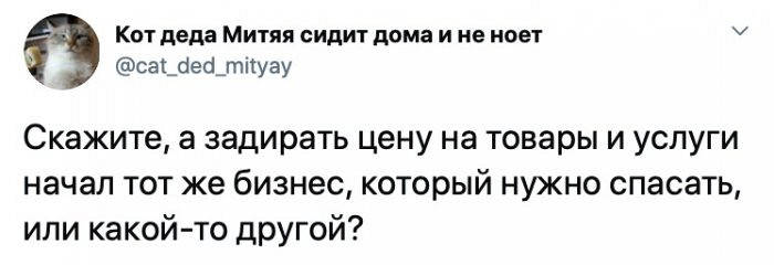 Наиболее курьезные изображения дня