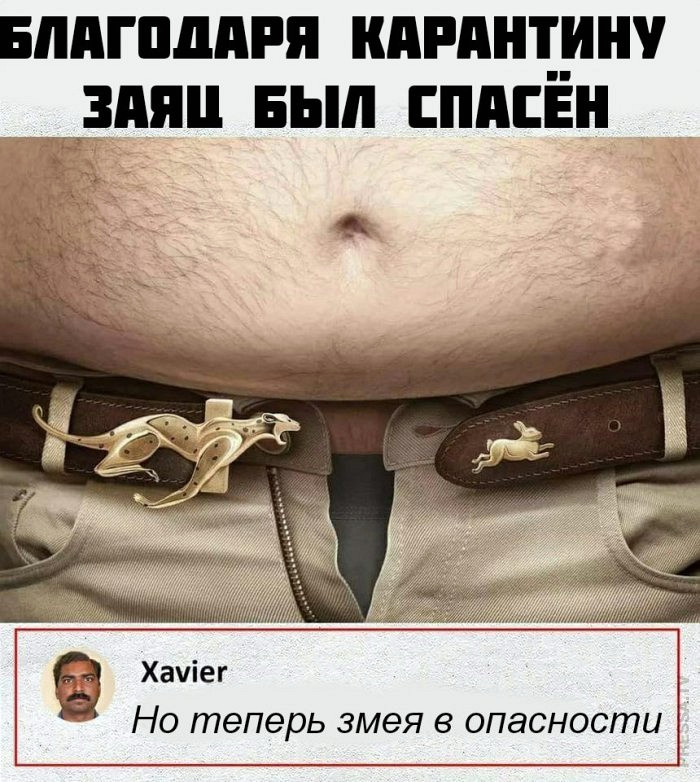 Отличные краткие шуточки