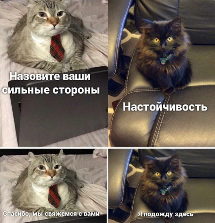 Комизм из соцсетей