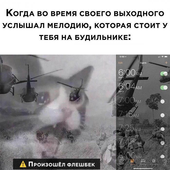 Насмешка из соцсетей