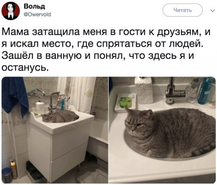 Наилучшие краткие шуточки