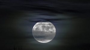Тест по стихотворению Фета «Сияла ночь. Луной был полон сад...»