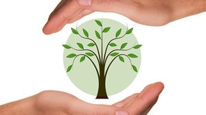 Викторина «Основные экологические факторы и их влияние на растения»