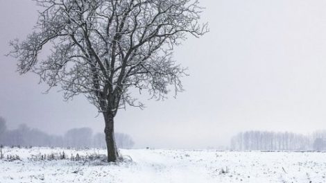 Викторина по роману Абрамова «Две зимы и три лета»