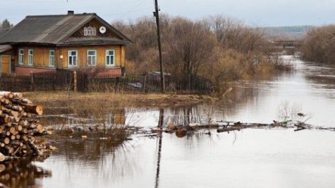 Тест по рассказу Белова «Ещё про Мальку»