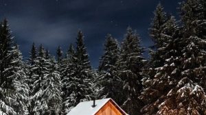 Тест по стихотворению Никитина «Зимняя ночь в деревне»