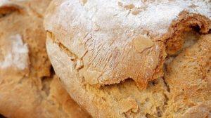 Тест по рассказу Паустовского «Тёплый хлеб»