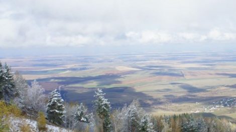 Тест: Западно-Сибирская равнина