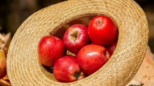 Тест о яблоках