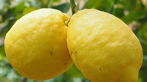 Викторина про лимоны