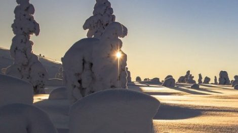 Тест по эпосу Элиаса Лённрота «Калевала»