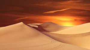 Тест по природоведению: Защита Земли от опустынивания