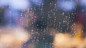 Викторина по стихотворению Фета «Весенний дождь»