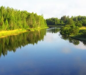 Викторина «Реки и моря России»