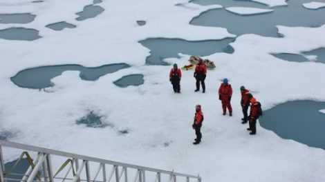 Викторина «Чукотское море»