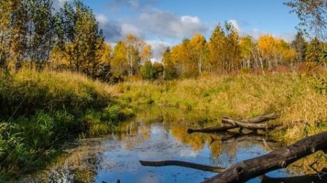 Викторина по книге Тамары Крюковой «Хрустальный ключ»