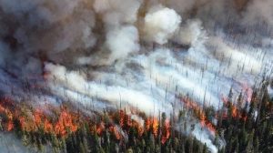 Тест по ОБЖ: Профилактика лесных и торфяных пожаров, защита населения (Смирнов, Хренников 7 класс)