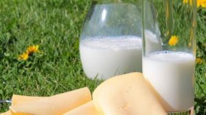 Тест: Молочные продукты