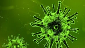 Тест по биологии: Вирусы — неклеточная форма жизни (Пасечник, 10 класс)