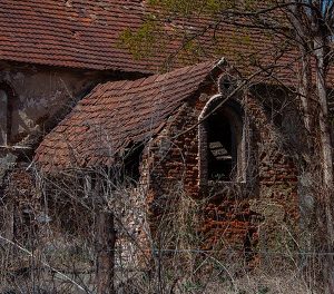 Викторина по сказке Салтыкова-Щедрина «Дикий помещик»