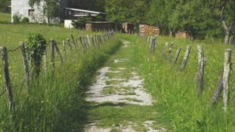 Викторина по рассказу Тургенева «Пётр Петрович Каратаев»