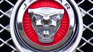 Викторина о марке автомобилей «Jaguar»
