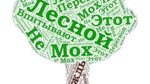 Тест по русскому языку «Однородные члены предложения»
