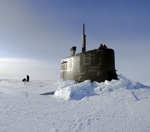 Викторина «Северный Ледовитый океан»