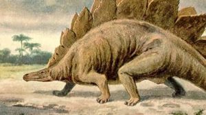 Викторина-тест «Стегозавры»