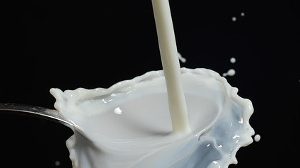 Викторина про молоко и молочные продукты