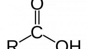 Тест по химии: Карбоновые кислоты (Габриелян, 10 класс)